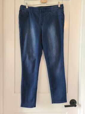 1822 Denim Slim Stretch Jeggings in Dark Blue Wash